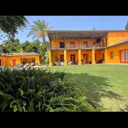 ソトグランデ La Dulcinea Bed & Breakfast エクステリア 写真